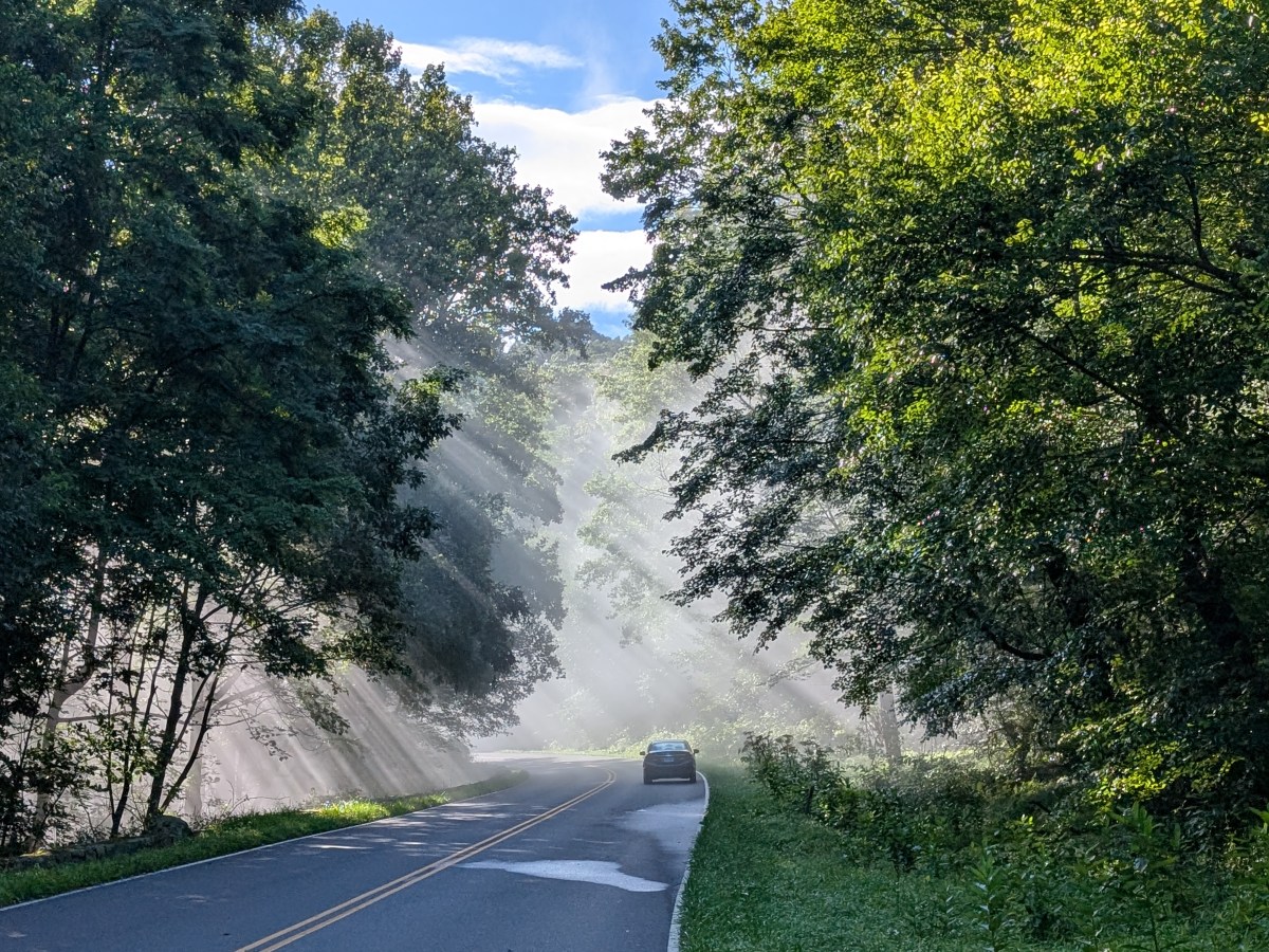 Two Days, Three Riders, and One Moka Pot: Motor Therapy on the Skyline&nbsp;Drive